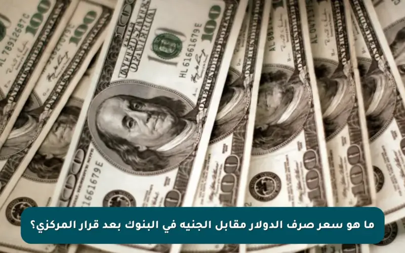 ما هو سعر صرف الدولار مقابل الجنيه في البنوك بعد قرار المركزي؟